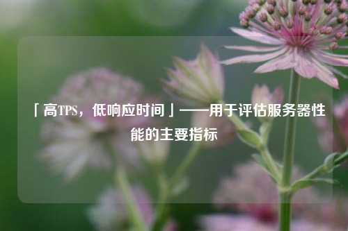 「高TPS，低響應(yīng)時間」——用于評估服務(wù)器性能的主要指標(biāo)