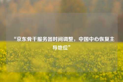 “京東骨干服務器時間調整，中國中心恢復主導地位”