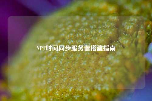 NPT時間同步服務(wù)器搭建指南
