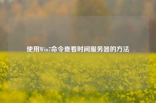 使用Win7命令查看時間服務(wù)器的方法
