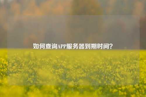 如何查詢APP服務(wù)器到期時(shí)間？