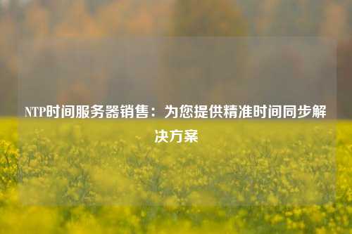 NTP時間服務(wù)器銷售：為您提供精準時間同步解決方案