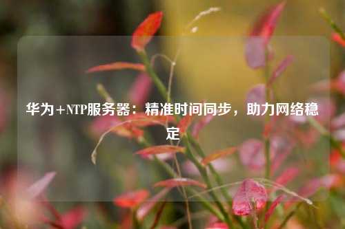 華為+NTP服務(wù)器：精準(zhǔn)時(shí)間同步，助力網(wǎng)絡(luò)穩(wěn)定